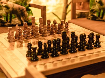 Der Grubacher • The best choice among the eco hotels in Tyrol Wooden chess set on an artistically decorated chessboard