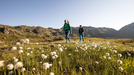 Pictures & Impressions • Der Grubacher: Hotel in Gerlos Hiker on a mountain meadow under a clear sky