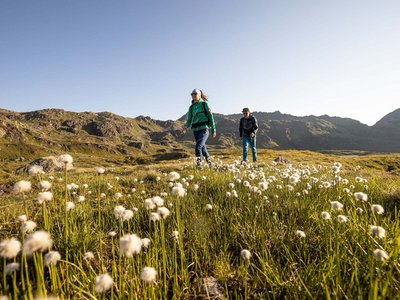 Erlebnisse im Zillertal • Der Grubacher: Biohotel in Gerlos Wanderer auf einer Bergwiese bei klarem Himmel