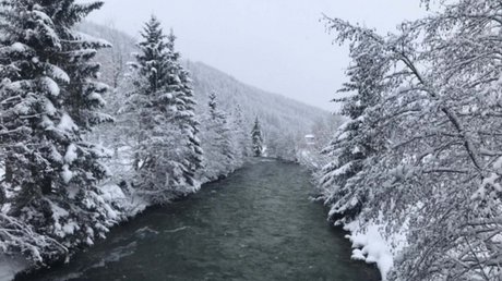 Pictures & Impressions • Der Grubacher: Hotel in Gerlos River course in winter with snow-covered trees and gentle flow in a quiet landscape